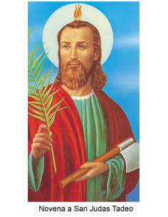 Lamina 21X30cm Papa Leon...