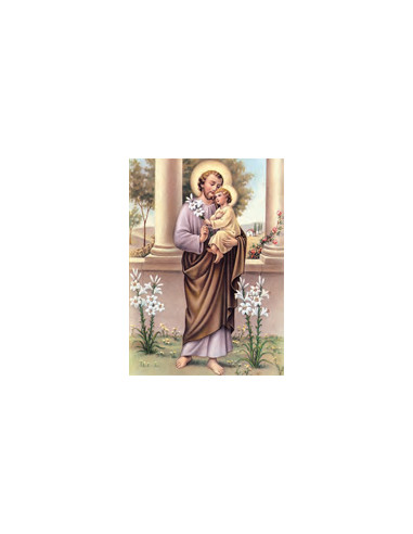 Estampa Con Oracion S-109/1/1 San...