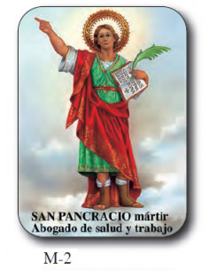 Estampa Mini M-3 Virgen De...