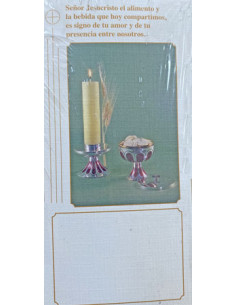 Juego 15 Imanes surtidos AFA