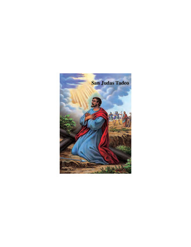 Estampa Con Oracion S-5/1 San Judas...