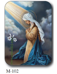 Medalla Escapulario Acero...