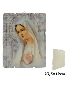 Virgen Milagrosa Estampada...