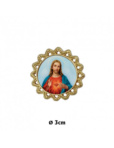 Placa Coche Tipo Margarita Dorada 30mm