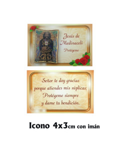 Colgante Paloma Calada Plata