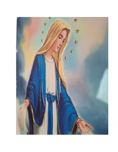 Placa ceramica 3D Virgen Milagrosa...
