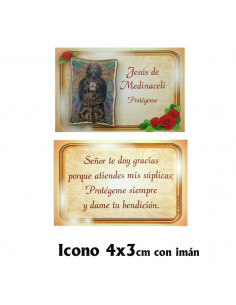 Placa Mini 4X3cm Con Iman...