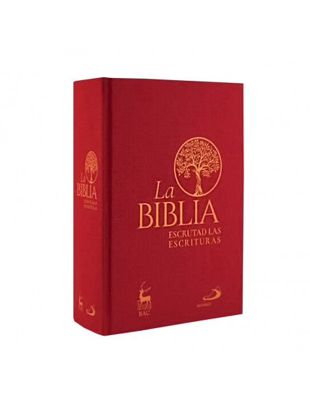 Juego Colgante Redondo 1. 5Cm Y Pendientes Acero Disco Zirconitas Y Cruz Interna