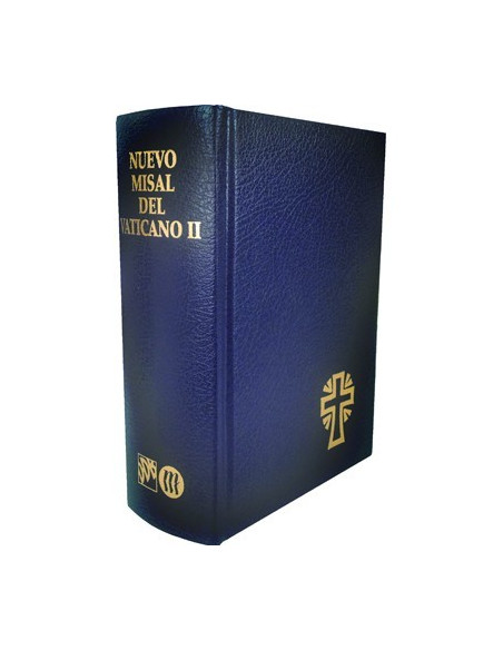 Pulsera Acero Virgen Milagrosa Medallas Redondas 10Mm