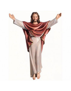 Funda Para Liturgia De Las...