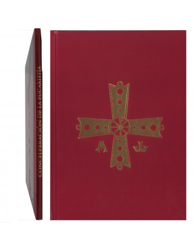 Concelebracion De La Eucaristia Nuevo